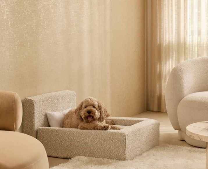 Bouclé Cloud Orthopedic Dog Bed