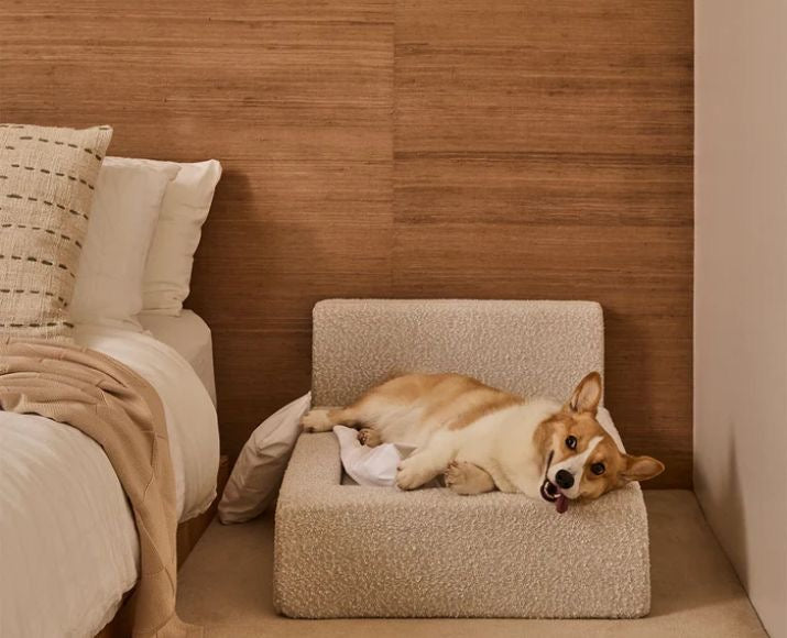 Bouclé Cloud Orthopedic Dog Bed